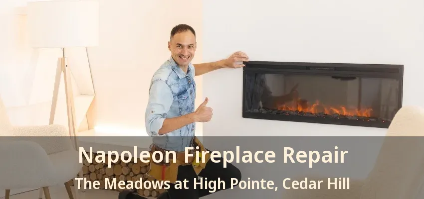Napoleon Fireplace Repair The Meadows at High Pointe, Cedar Hill - TX