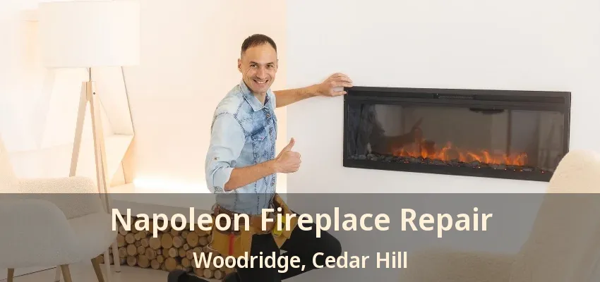 Napoleon Fireplace Repair Woodridge, Cedar Hill - TX