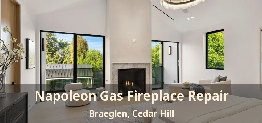Napoleon Gas Fireplace Repair Braeglen, Cedar Hill - TX