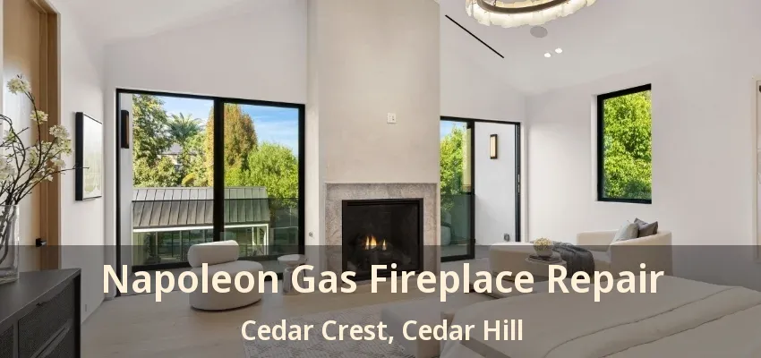 Napoleon Gas Fireplace Repair Cedar Crest, Cedar Hill - TX