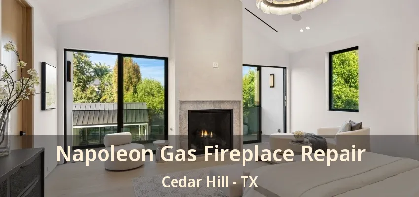 Napoleon Gas Fireplace Repair Cedar Hill - TX