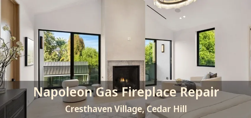 Napoleon Gas Fireplace Repair Cresthaven Village, Cedar Hill - TX