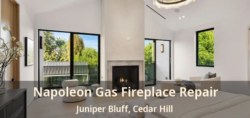 Napoleon Gas Fireplace Repair Juniper Bluff, Cedar Hill - TX