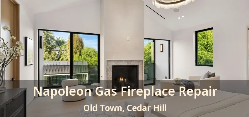 Napoleon Gas Fireplace Repair Old Town, Cedar Hill - TX