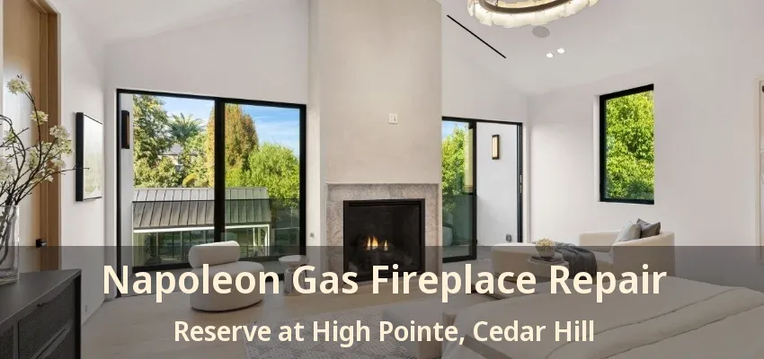 Napoleon Gas Fireplace Repair Reserve at High Pointe, Cedar Hill - TX