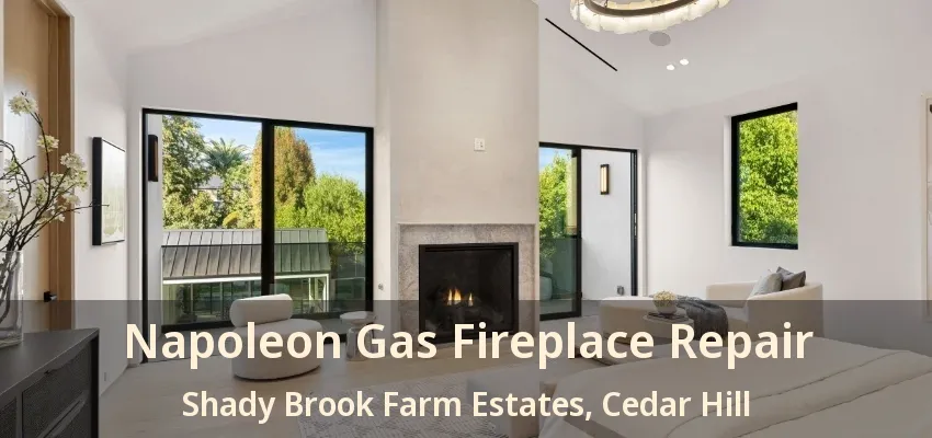Napoleon Gas Fireplace Repair Shady Brook Farm Estates, Cedar Hill - TX