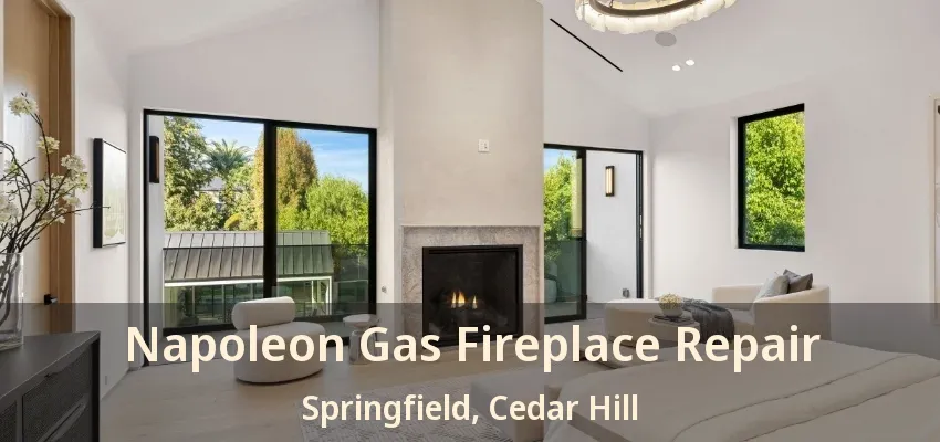 Napoleon Gas Fireplace Repair Springfield, Cedar Hill - TX