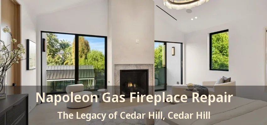 Napoleon Gas Fireplace Repair The Legacy of Cedar Hill, Cedar Hill - TX