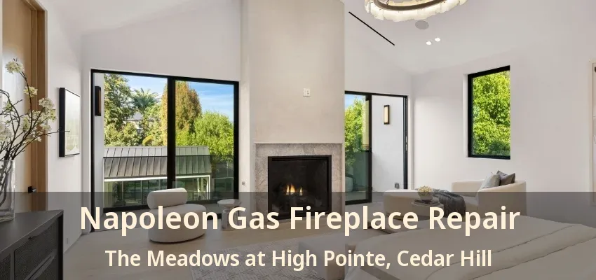 Napoleon Gas Fireplace Repair The Meadows at High Pointe, Cedar Hill - TX