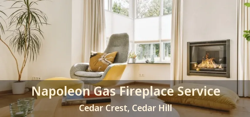 Napoleon Gas Fireplace Service Cedar Crest, Cedar Hill - TX