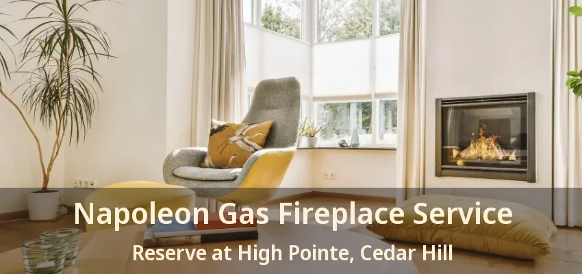 Napoleon Gas Fireplace Service Reserve at High Pointe, Cedar Hill - TX