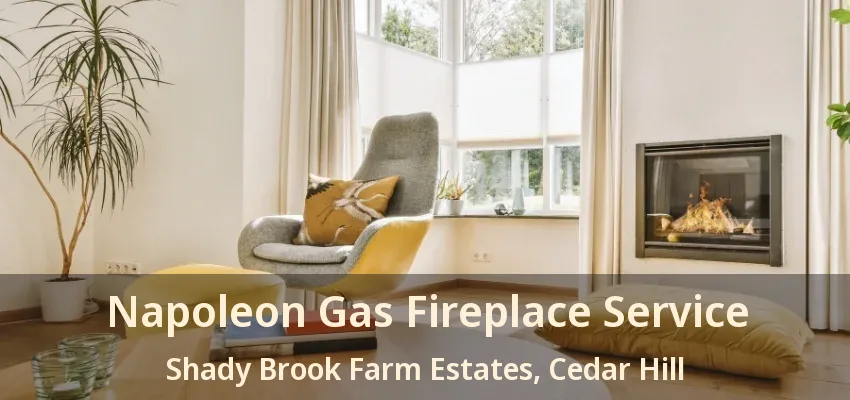 Napoleon Gas Fireplace Service Shady Brook Farm Estates, Cedar Hill - TX