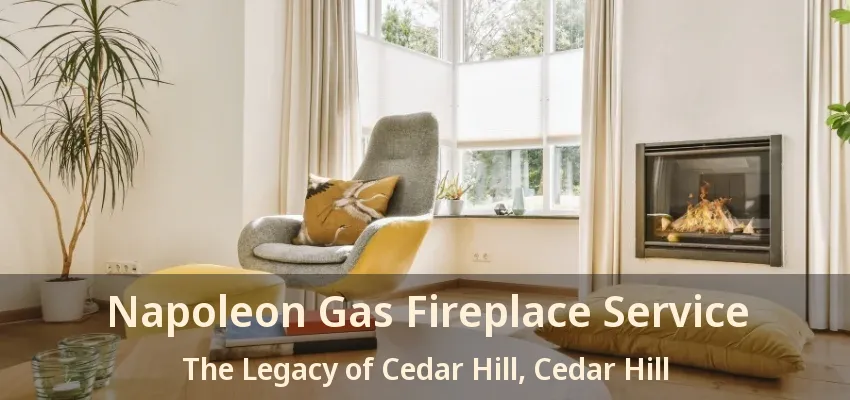 Napoleon Gas Fireplace Service The Legacy of Cedar Hill, Cedar Hill - TX