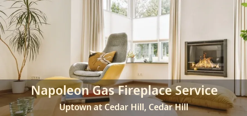 Napoleon Gas Fireplace Service Uptown at Cedar Hill, Cedar Hill - TX