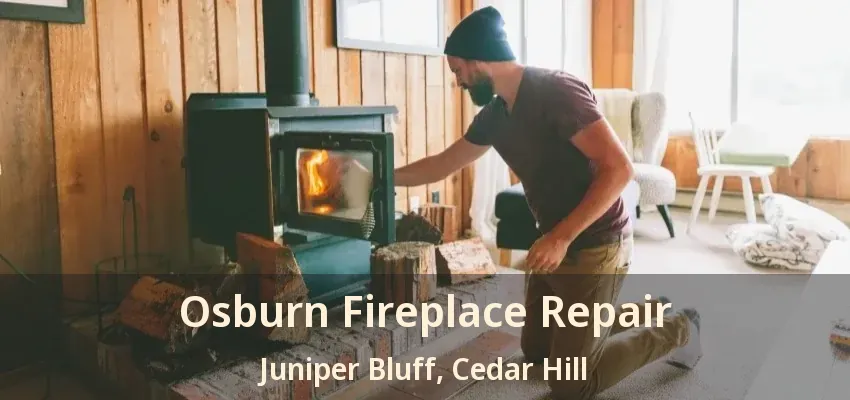 Osburn Fireplace Repair Juniper Bluff, Cedar Hill - TX
