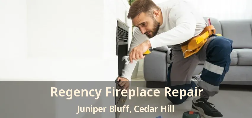 Regency Fireplace Repair Juniper Bluff, Cedar Hill - TX