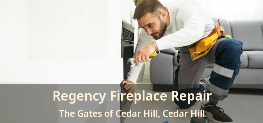 Regency Fireplace Repair The Gates of Cedar Hill, Cedar Hill - TX