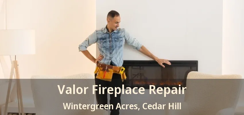 Valor Fireplace Repair Wintergreen Acres, Cedar Hill - TX