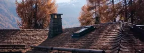 Chimney Animal Removal Cedar Hill