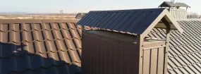 Chimney Cap Services Cedar Hill