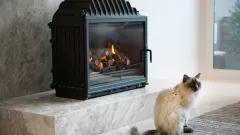 Wood Burning Fireplace Repair Cedar Hill